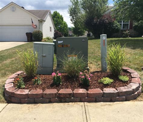 evergreens to hide electrical box|landscaping to hide utility box.